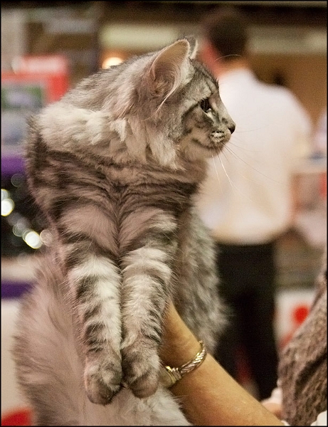 Inconnu 17.jpg - Inconnu